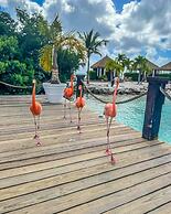 1-bed Apartment Sleeps 4 With Pool