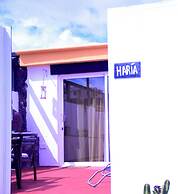GA7COLORES