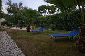 Oasi della pace