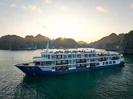 Erina Cruise