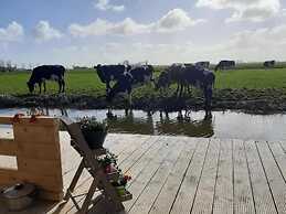 Prive Jacuzzi, Cows, Dairyfarm, Relaxing, Sleeping