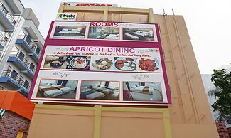 Treebo Empire Executive, Hinjewadi