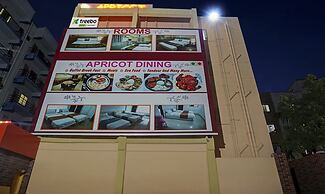 Treebo Empire Executive, Hinjewadi