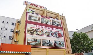 Treebo Empire Executive, Hinjewadi