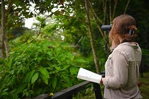Chilamate Rainforest Eco-retreat