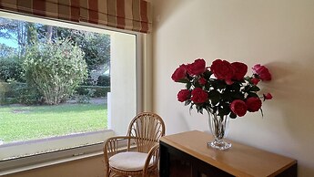 Azaleas CIP