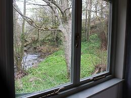 Foxes Den
