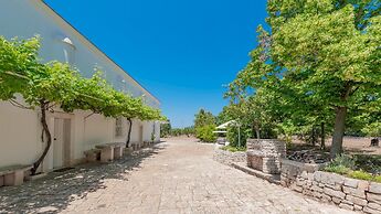 Masseria Profilo 10