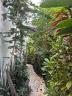 Maison Bacalar