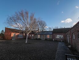 Silverbirch
