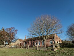 Silverbirch