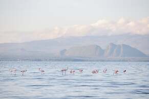 Lake Elementaita Mountain Lodge
