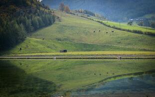Chalet am Schneeberg See