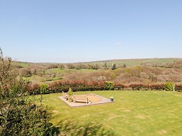 The View
