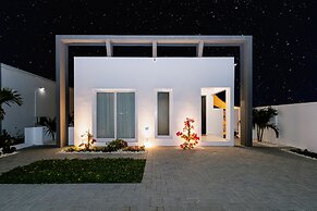 Caya Erasmus 20