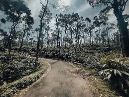 Mystic Mayapott Thekkady