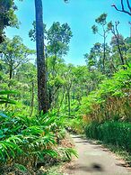 Mystic Mayapott Thekkady
