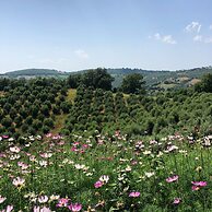 Agriturismo Poggio Monte