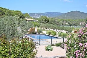 SOUS LES PINS