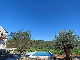 SOUS LES PINS