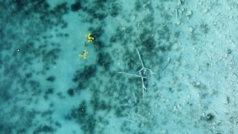 Naya Bacalar Hotel - Adults Only