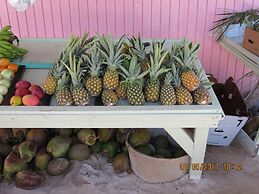Buttonwood Reserve by Eleuthera Vacation Rentals