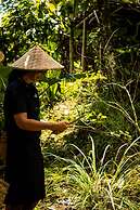 Bali Jungle Camping