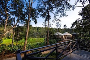 Machaan Wilderness Lodge Nagarahole