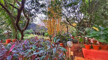 Peace Lily Cottage