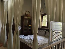 Peace Lily Cottage