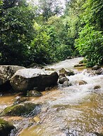 Finca de la Vaca - Glamping