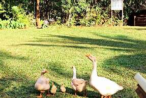 The Orchard Resort