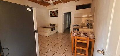 TROPICAL SUITE