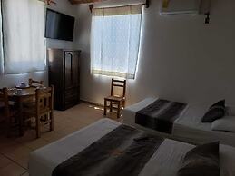 TROPICAL SUITE