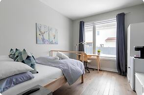 Cheerful and Modern