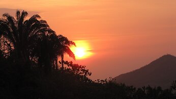 Sol de minca