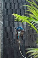 The MG Villa & SPA
