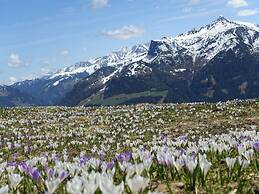 Apartment in Hippach With Mountain Views