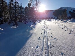Alpine Escape Krimml