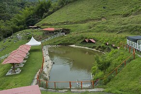 Hacienda Charrascal Coffe Farm