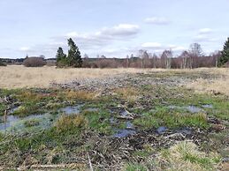 Escape in Hautes Fagnes