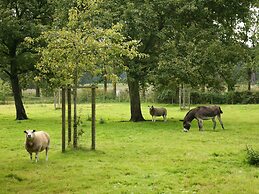 Beernem Countryside Home