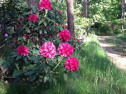 Gierle Garden Bungalow Escape