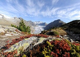 Alpine Chalet in Fieschertal