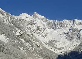 Alpine Chalet in Fieschertal