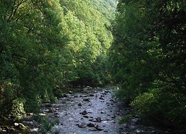 Family-friendly Timmenrode Stay