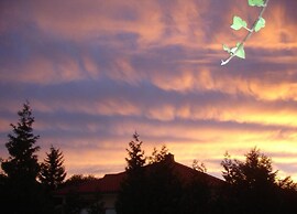 Family-friendly Timmenrode Stay