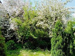 Eifel Garden Villa for Groups