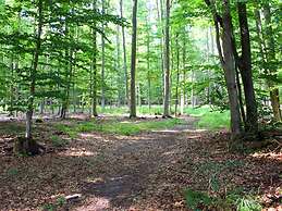 Wohnung im Teutoburger Wald