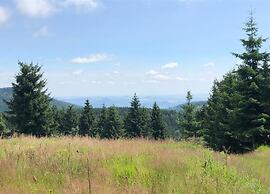 Majestic Stay in Deutschneudorf